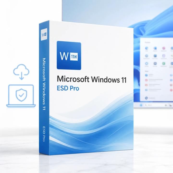 Microsoft Windows 11 Pro