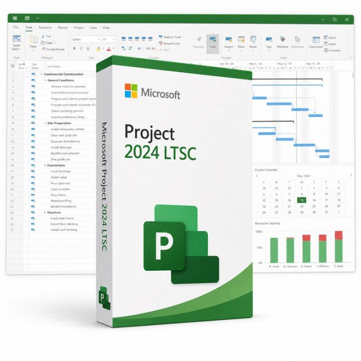 Microsoft Project 2024 LTSC Professional